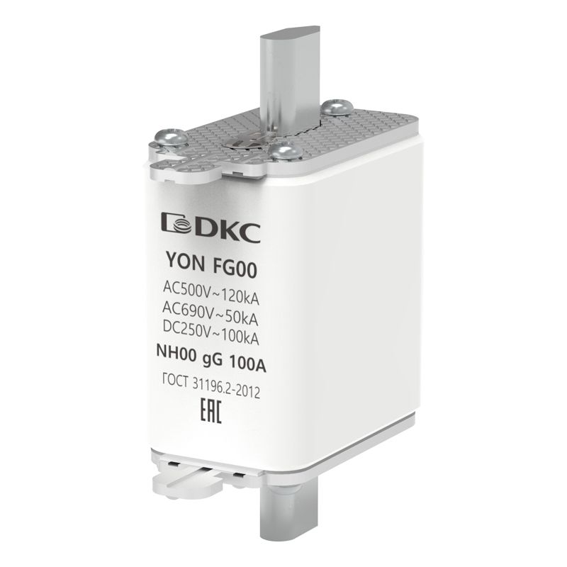 Фото YON (группа DKC) 1FG00-0100