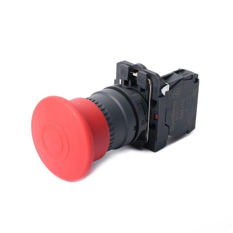 Фото Systeme Electric SB5AT842