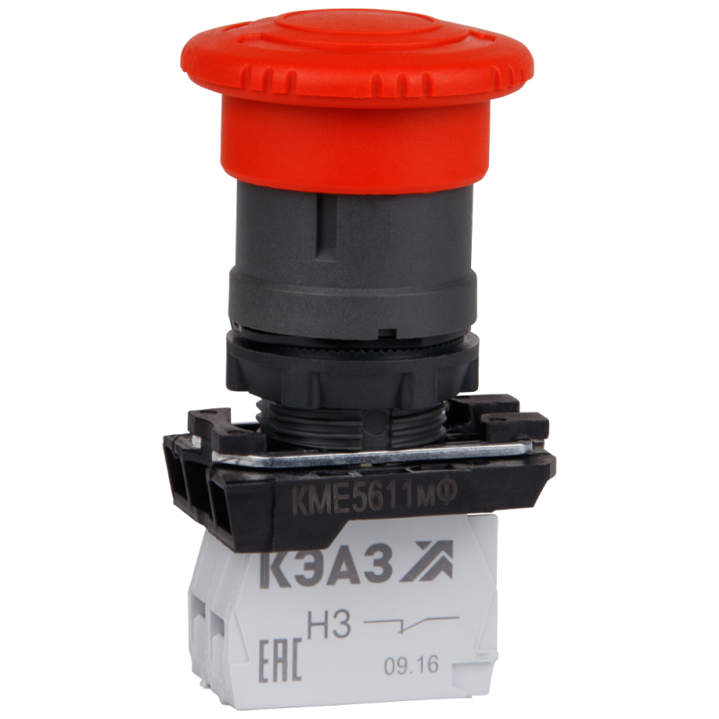 Фото КЭАЗ 248257