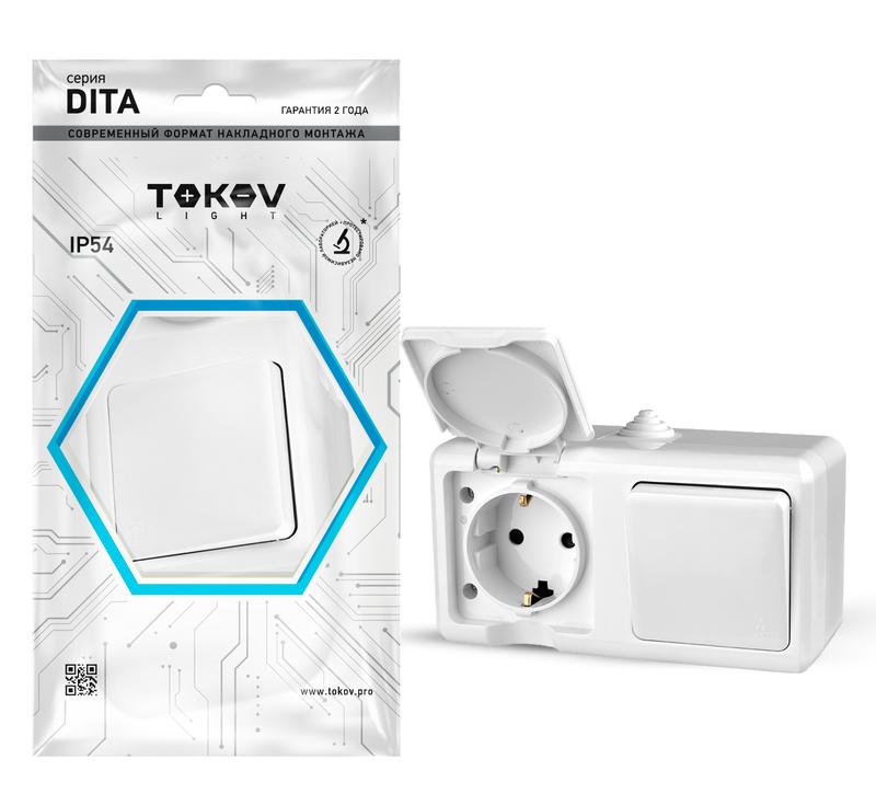 Фото TOKOV ELECTRIC TKL-DT-V1RZ-C01-IP54