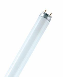 Фото LEDVANCE OSRAM 4050300004235