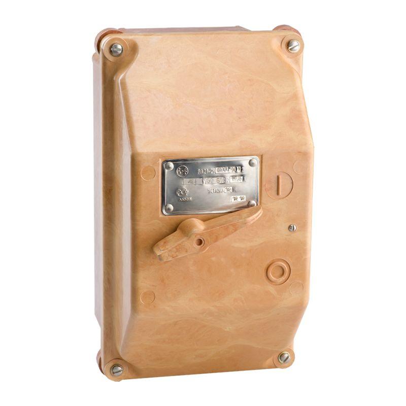 Фото КЭАЗ 102233
