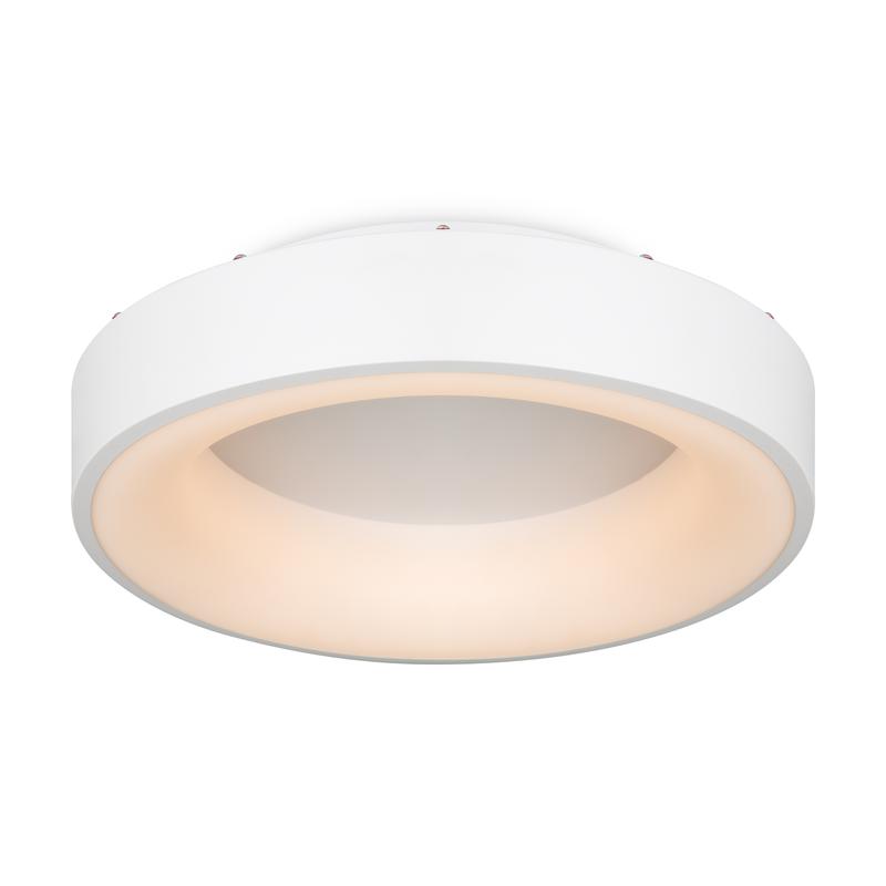 Фото Freya FR6118CL-L45W