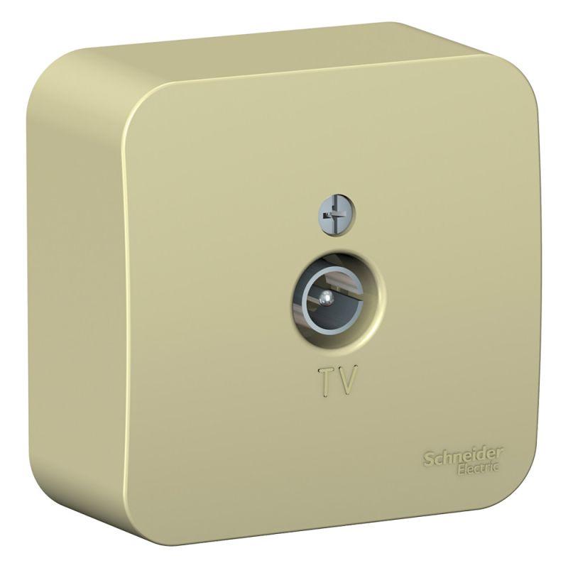 Фото Systeme Electric BLNTA000017