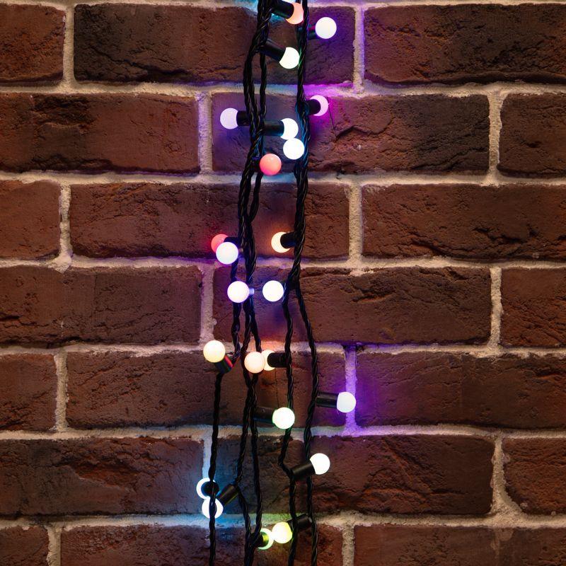 Фото Neon-Night 303-509-2