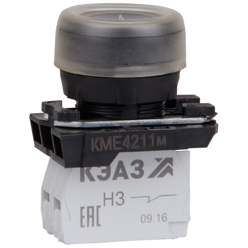 Фото КЭАЗ 248243