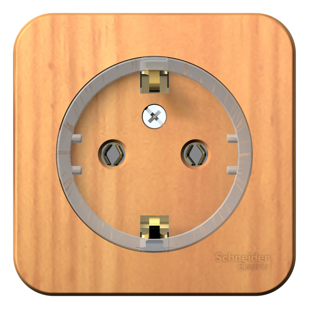 Фото Systeme Electric BLNRA110115