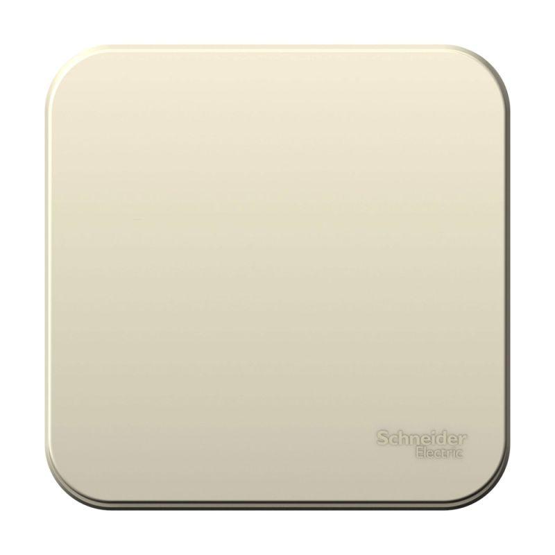 Фото Systeme Electric BLNVA101012