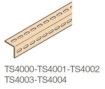 Фото ABB TS4000