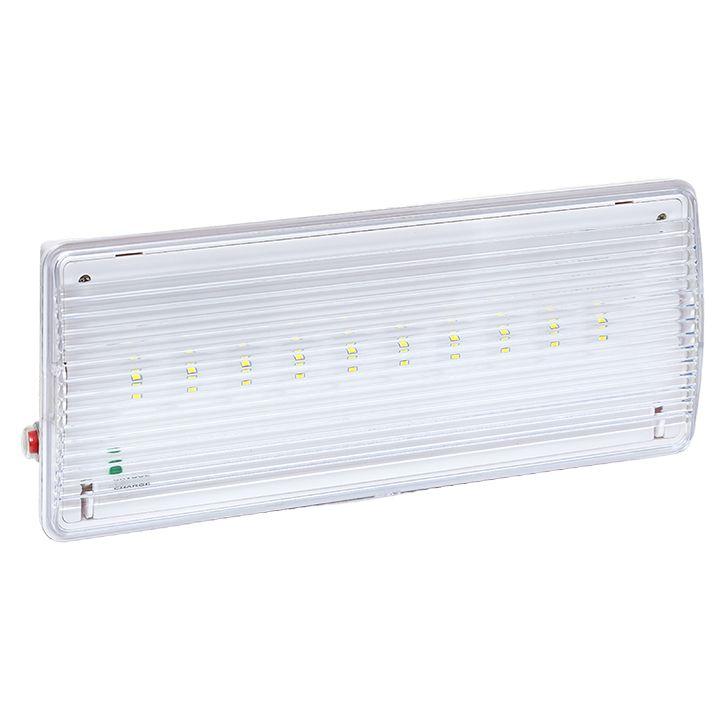 Фото EKF dpa-203