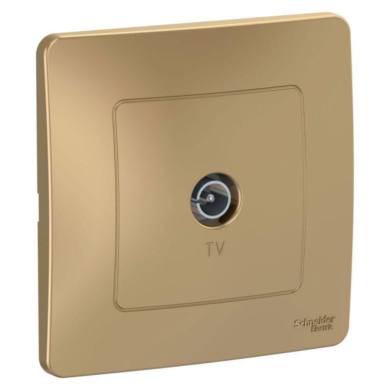 Фото Systeme Electric BLNTS000014